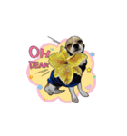 PUPPY MUNNE（個別スタンプ：6）