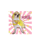 PUPPY MUNNE（個別スタンプ：10）