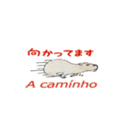 ブラジルカピちゃんとトゥッカーノくん（個別スタンプ：1）