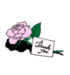 バラの花(2)ピンクでお礼『ありがとう』（個別スタンプ：3）