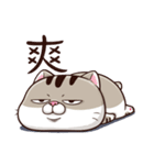 A cute little cat is so fat（個別スタンプ：2）