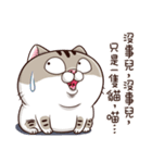 A cute little cat is so fat（個別スタンプ：9）
