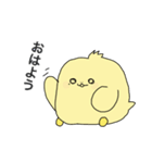 たまぴよご（個別スタンプ：1）