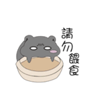Hamsters small partners（個別スタンプ：5）