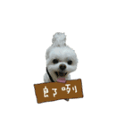 Maru baby（個別スタンプ：2）