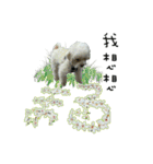 Maru baby（個別スタンプ：3）