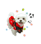 Maru baby（個別スタンプ：6）
