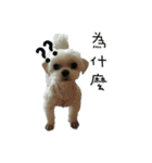 Maru baby（個別スタンプ：8）