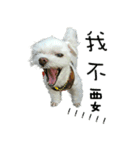 Maru baby（個別スタンプ：13）