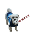 Maru baby（個別スタンプ：14）