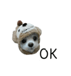 Maru baby（個別スタンプ：15）