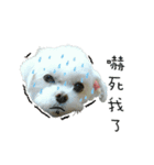 Maru baby（個別スタンプ：18）