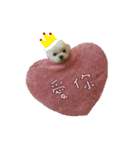 Maru baby（個別スタンプ：20）