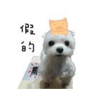 Maru baby（個別スタンプ：22）