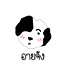 Daily of Shogun's dog（個別スタンプ：5）