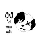 Daily of Shogun's dog（個別スタンプ：10）