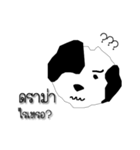 Daily of Shogun's dog（個別スタンプ：12）