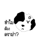 Daily of Shogun's dog（個別スタンプ：13）