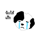 Daily of Shogun's dog（個別スタンプ：16）