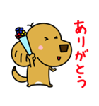 ミックス犬 チャピ 2（個別スタンプ：10）