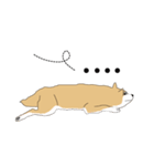 柴犬の毎日（個別スタンプ：2）