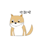 柴犬の毎日（個別スタンプ：3）