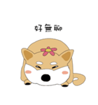 柴犬の毎日（個別スタンプ：4）