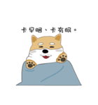 柴犬の毎日（個別スタンプ：7）