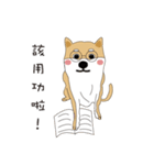 柴犬の毎日（個別スタンプ：8）