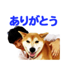 宮崎オペラシアタースタンプ！第一弾（個別スタンプ：3）