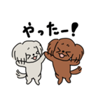 トイプードルのロンココ（個別スタンプ：8）