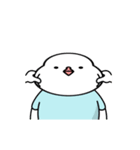 Cute and fat doves DDULKI ＆ BBIKI（個別スタンプ：16）