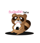 Raccoon lovers（個別スタンプ：8）
