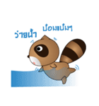 Raccoon lovers（個別スタンプ：11）