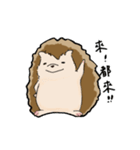 針りんは語りたい（個別スタンプ：31）