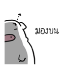 Piggypinky2（個別スタンプ：29）
