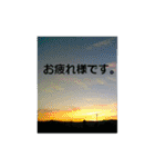 素敵な写真と日常言葉（個別スタンプ：5）
