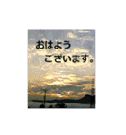 素敵な写真と日常言葉（個別スタンプ：7）