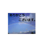 素敵な写真と日常言葉（個別スタンプ：12）