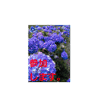 素敵な写真と日常言葉（個別スタンプ：18）