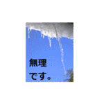 素敵な写真と日常言葉（個別スタンプ：19）