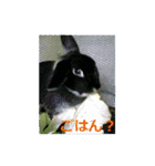 素敵な写真と日常言葉（個別スタンプ：24）