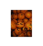 素敵な写真と日常言葉（個別スタンプ：26）