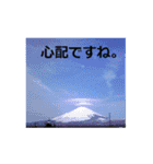 素敵な写真と日常言葉（個別スタンプ：31）