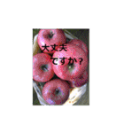 素敵な写真と日常言葉（個別スタンプ：33）