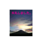 素敵な写真と日常言葉（個別スタンプ：37）