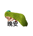 Little Cash's World（個別スタンプ：1）
