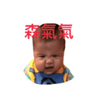 Little Cash's World（個別スタンプ：3）