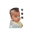 Little Cash's World（個別スタンプ：6）