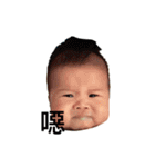 Little Cash's World（個別スタンプ：10）